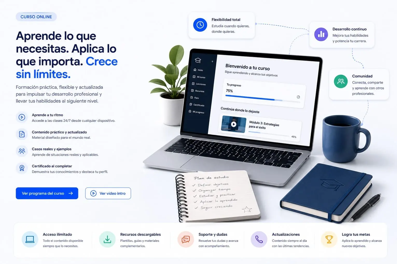 Curso online profesional